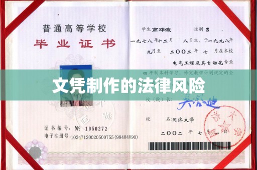 东明文凭制作的法律风险